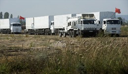 Đoàn xe cứu trợ Nga bắt đầu làm thủ tục vào Ukraine